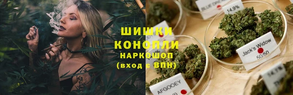 сатива Балахна