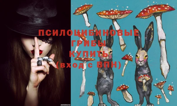 spice Баксан