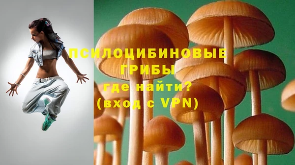 ПСИЛОЦИБИНОВЫЕ ГРИБЫ Снежинск